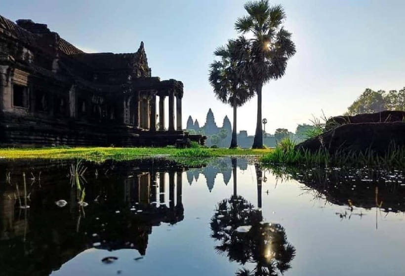 Siem Reap: Angkor Wat Small-Group Day Tour - Ta Prohm, where trees share the walls