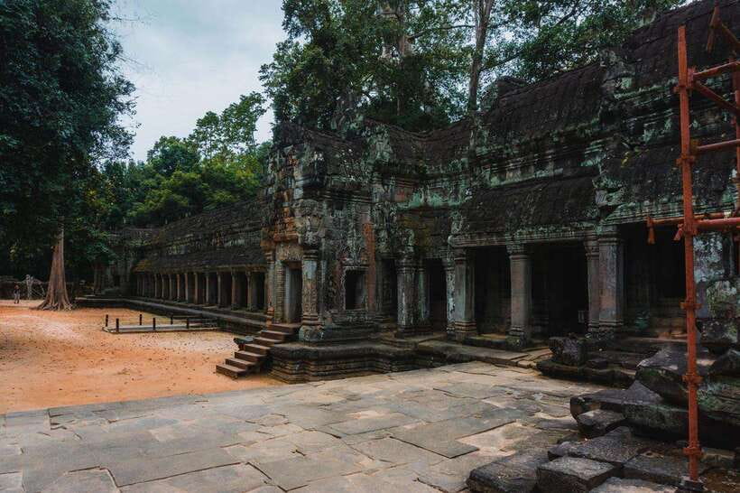 Siem Reap: Angkor Wat Small-Group Full Day Tour and Sunset - Ta Prohm, where trees share the ruins