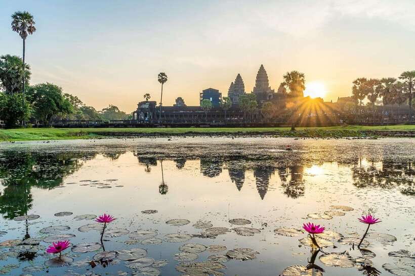 Siem Reap: Angkor Wat: Small-Group Sunrise or Sunset Tour - Ta Prohm and the trees over the stone