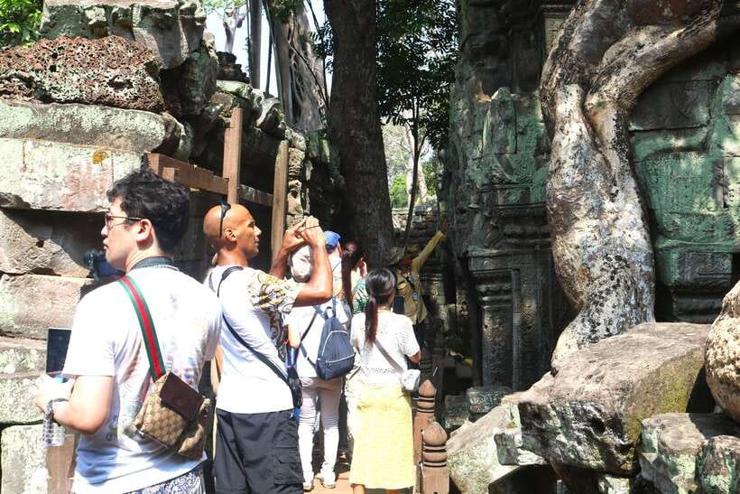 Siem Reap: Angkor Wat: Small-Group Sunrise Tour - Ta Prohm, where the jungle takes over