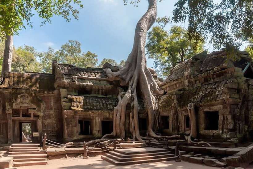 Siem Reap: Angkor Wat Sunrise and Full-Day Sightseeing Tour - Ta Prohm and the Tomb Raider connection