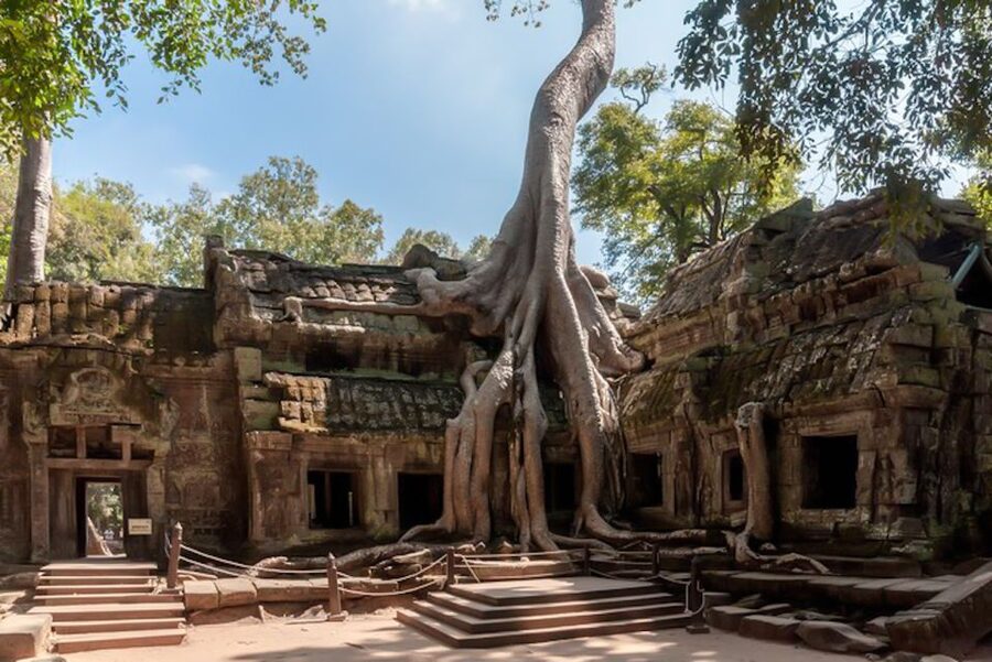 Siem Reap: Angkor Wat Sunrise and Full-Day Sightseeing Tour - Transport, water, clothing, and the physical effort