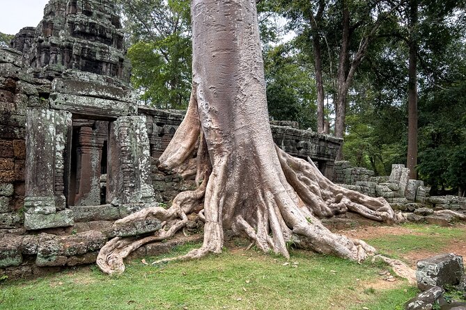 Siem Reap: Angkor Wat Sunrise Bike Tour & Jungle Breakfast - Breakfast in a quiet corner of the park