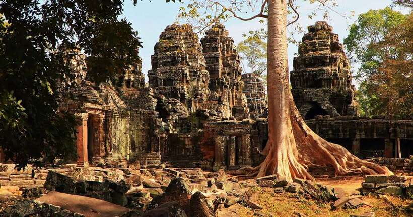 Siem Reap: Angkor Wat Tour Explore The Most Iconic Temples - Ta Prohm and its tree-covered ruins