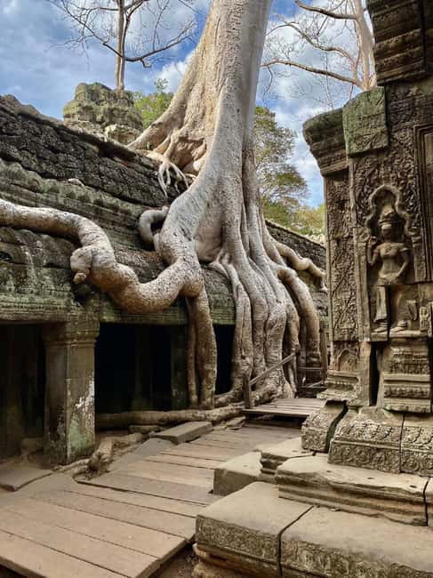 Siem Reap: Angkor Wat Tour with French-Speaking Guide - Price, meals, and the real total