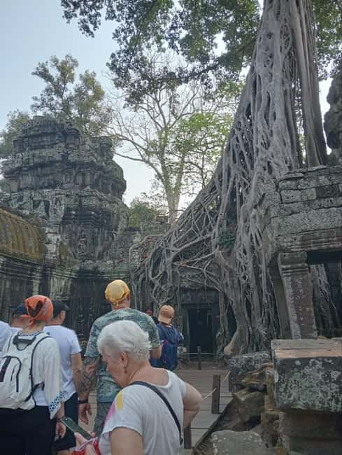 Siem Reap: Angkor Wat Tour with Italian-Speaking Guide - Who should choose this Angkor tour?