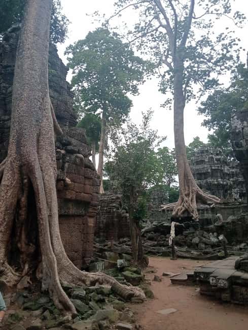 Siem Reap: Angkor Wat Tour with Italian-Speaking Guide - Should you book it?
