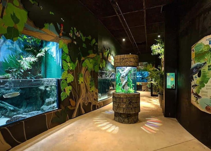 Siem Reap: Angkor Wildlife & Aquarium Entrance Ticket - Starting with the free Siem Reap shuttle