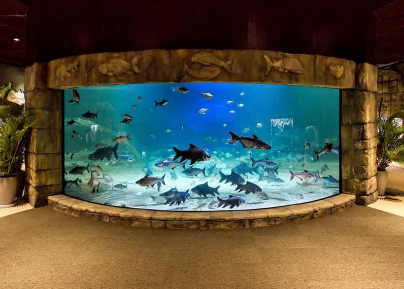 Siem Reap: Angkor Wildlife & Aquarium Entrance Ticket - The wildlife sanctuary and its Cambodian animals
