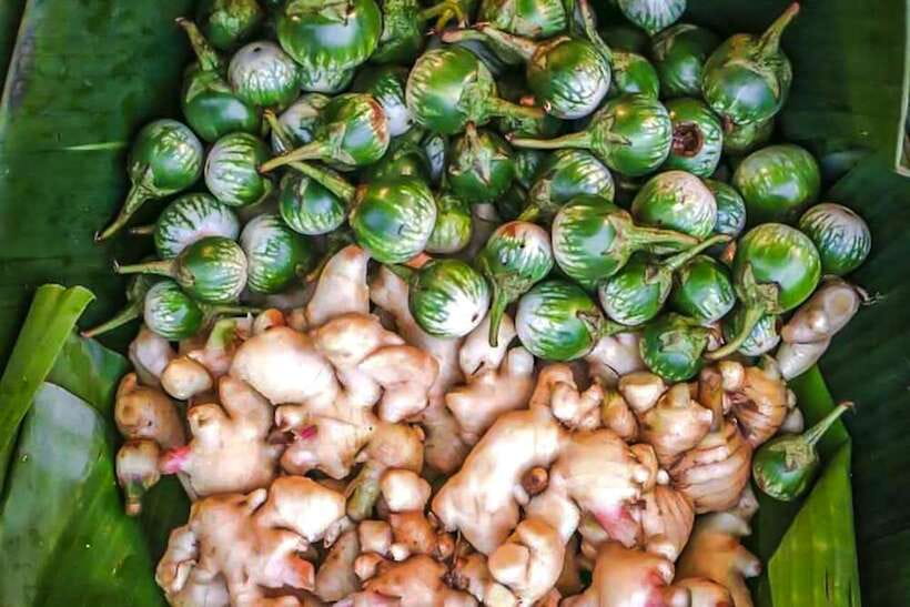 Siem Reap: Cambodia local street foods and local guide - What the $90 price covers