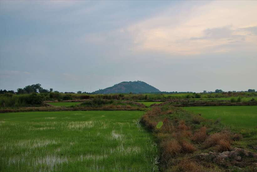 Siem Reap: Countryside Cycle and Local Village Life Tour - Meeting village families, not just passing by