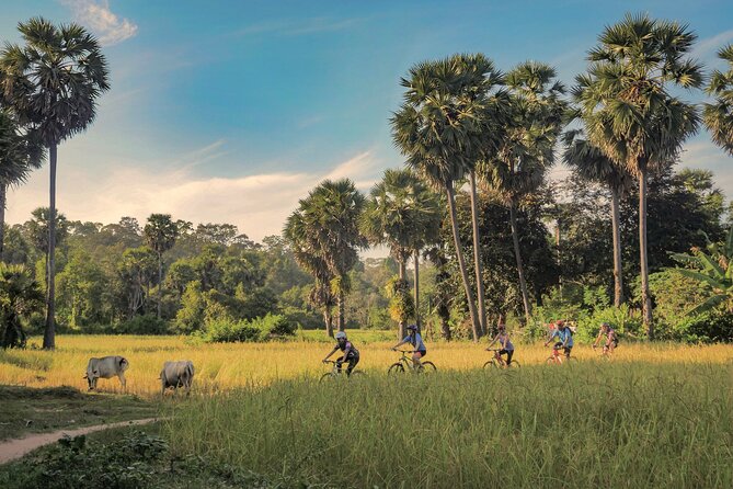 Siem Reap Countryside Guided Tour by Bike and E-Bike Private Tour - Why this ride deserves a place in your Siem Reap plans