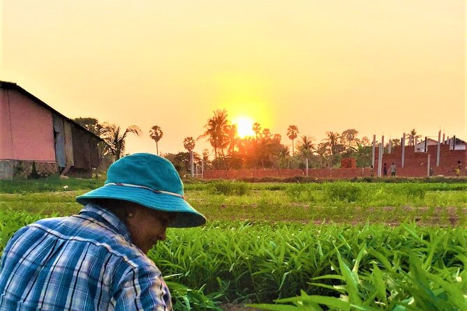 Siem Reap Countryside Sunset Jeep Tour - Half-day - The sunset over rice fields