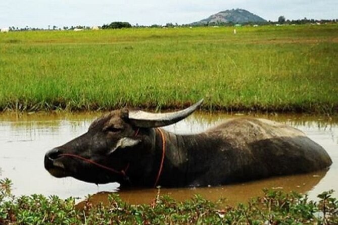 Siem Reap Countryside Sunset Jeep Tour - Half-day - John’s role and the private-group advantage