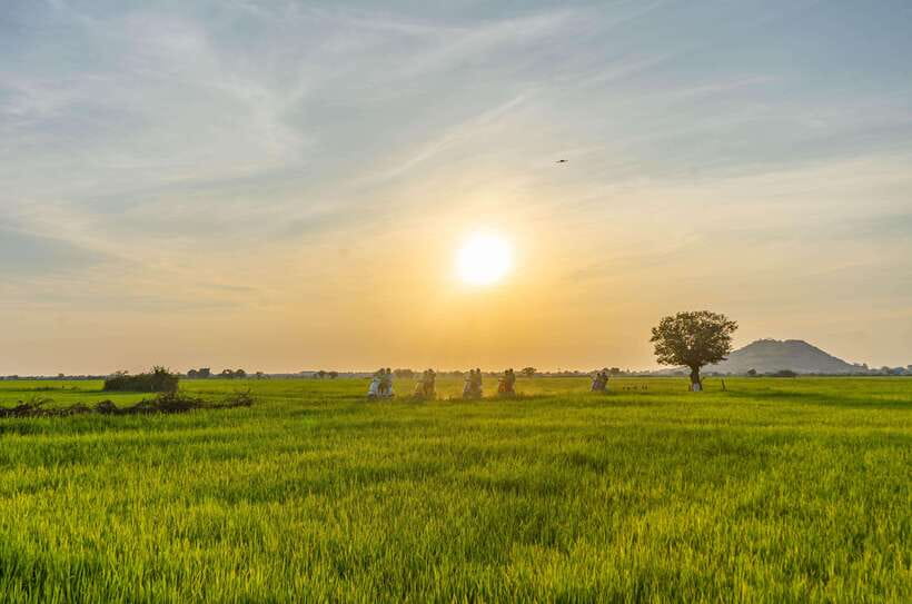 Siem Reap Countryside Sunset Vespa Tour or Tuk Tuk - Chreav Market, where the afternoon gets practical