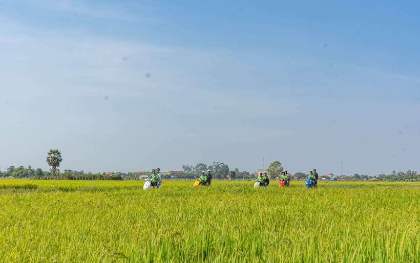 Siem Reap Countryside Sunset Vespa Tour or Tuk Tuk - Sra Sor and the traditional rice-wine tasting