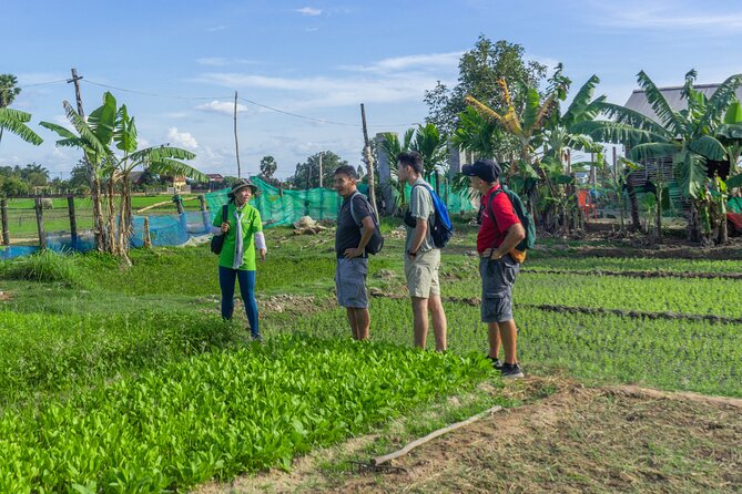 Siem Reap Countryside Sunset Vespa Tour / Tuk Tuk Available - Timing, cost, and who should book