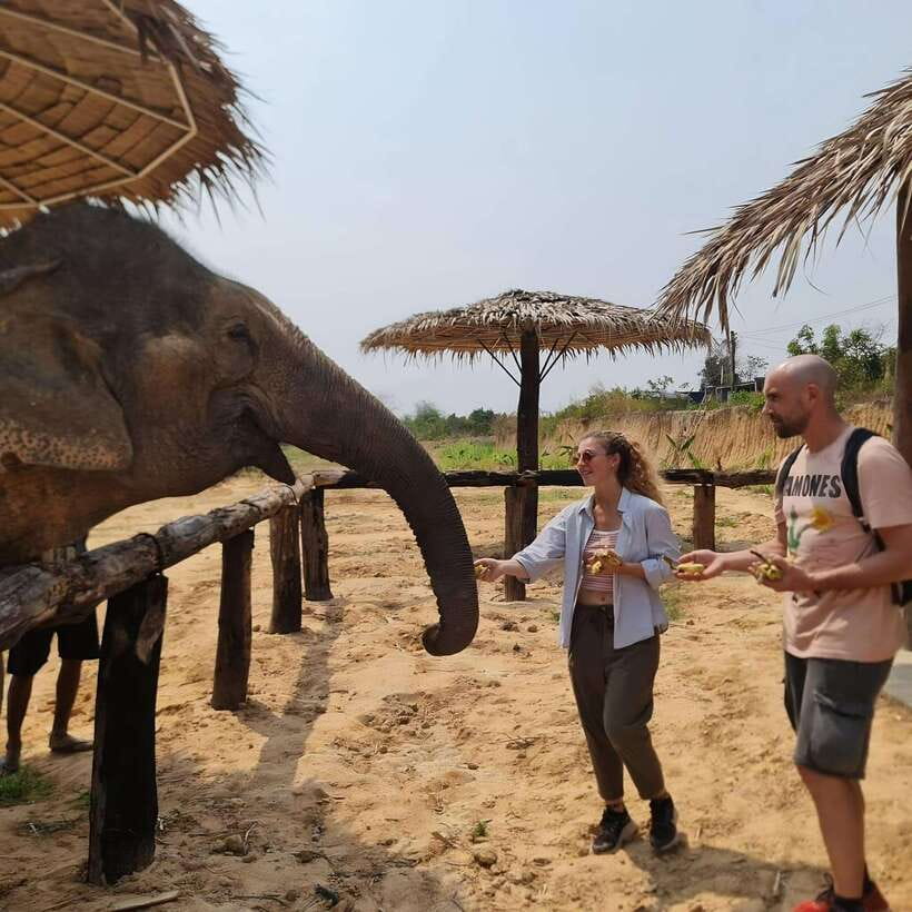 Siem Reap: Elephant Sanctuary Included Hotel Pickup Drop-off - Meeting the elephants and hearing the ground rules