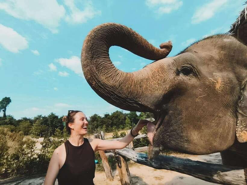 Siem Reap: Elephant Sanctuary Included Hotel Pickup Drop-off - Getting muddy beside the elephants