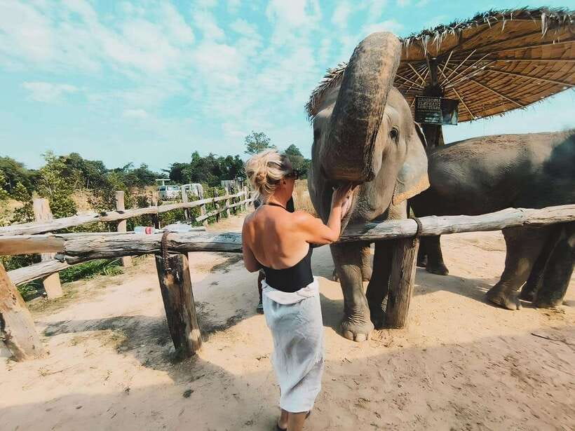 Siem Reap: Elephant Sanctuary Included Hotel Pickup Drop-off - Fruit, water, and a slower final pause