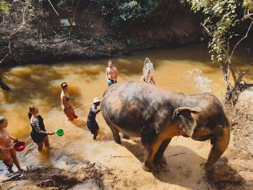 Siem Reap: Elephant Sanctuary Included Hotel Pickup Drop-off - Is $128 a fair price?