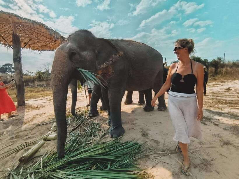 Siem Reap: Elephant Sanctuary Included Hotel Pickup Drop-off - Booking details that affect your plans