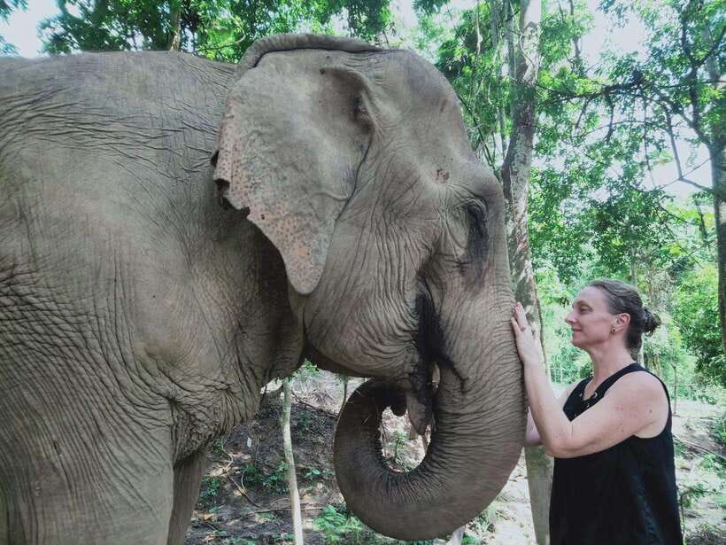 Siem Reap: Elephants & Apopo Rat Demining Private Trip - Key points to know before you book