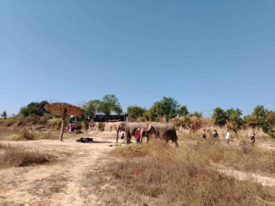 Elephants & Apopo Rat Demining Private Trip