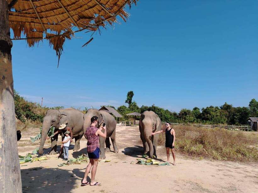 Siem Reap: Elephants & Apopo Rat Demining Private Trip - Transport, guides, and the space between stops