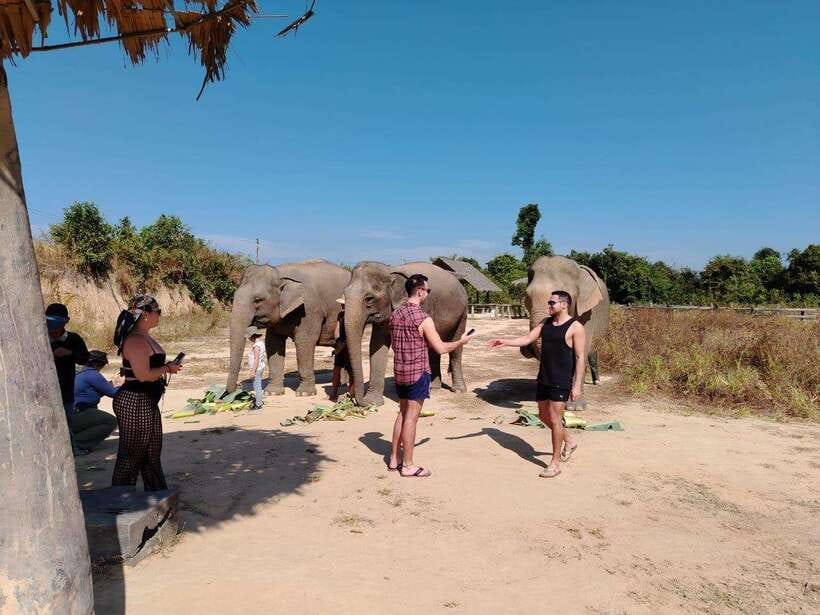 Siem Reap: Elephants & Apopo Rat Demining Private Trip - The real cost and who gets good value
