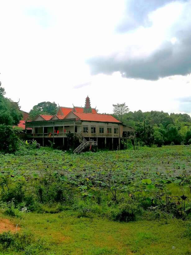 Siem Reap: Fishing in the rice fields, in the villages of Siem Reap - Leaving Siem Reap for the rice fields
