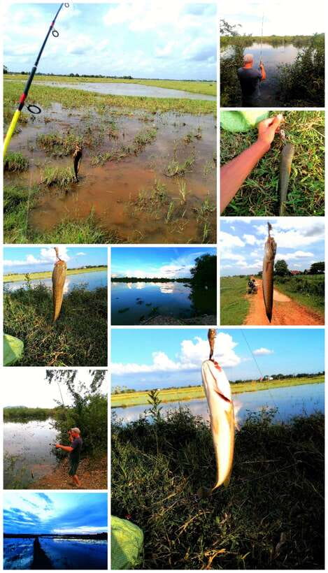 Siem Reap: Fishing in the rice fields, in the villages of Siem Reap - Learning the frog-bait fishing method