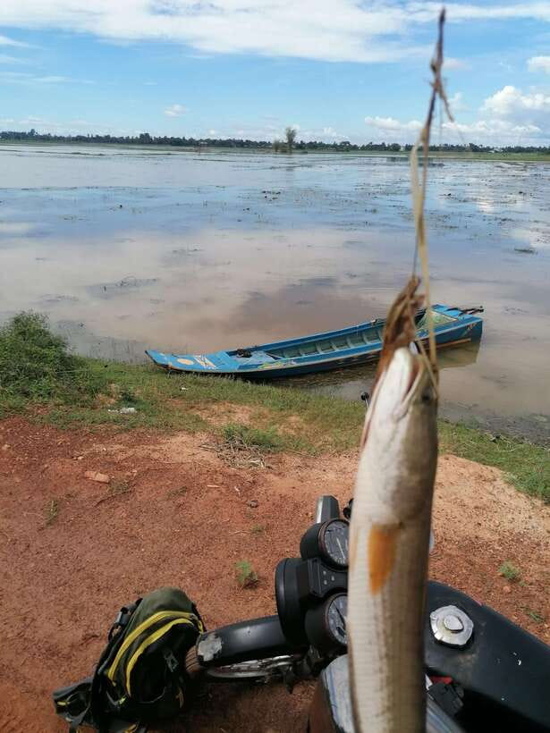 Siem Reap: Fishing in the rice fields, in the villages of Siem Reap - The setting is beautiful, but not polished
