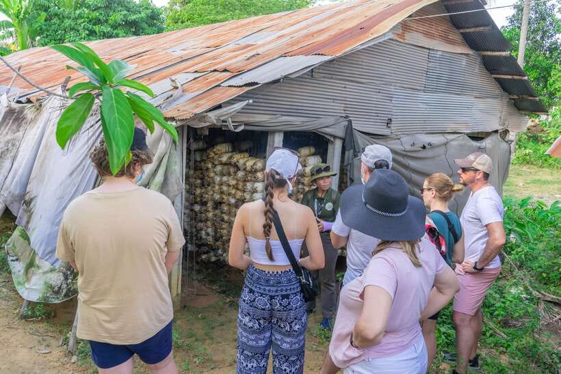 Siem Reap Floating Village Sunset Jeep Tour or SUV Car - Mushrooms, rice wine, and a country monastery