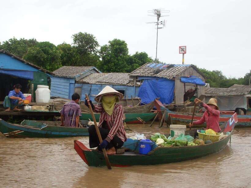 Siem Reap: Floating Village Tour - From Siem Reap to the lotus fields