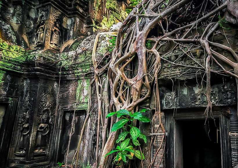 Siem Reap: Full-Day Angkor Wat Guided Tour with Sunset - What the $15 price really covers