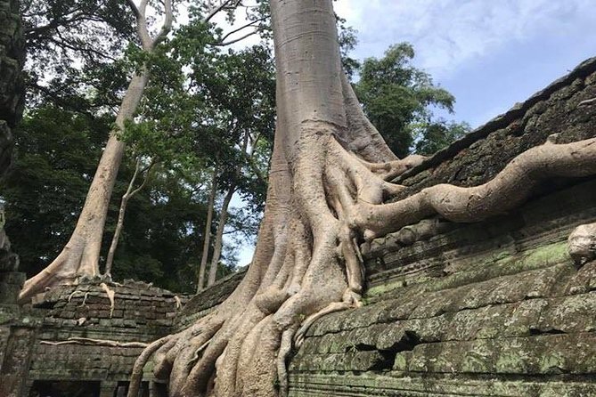 Siem Reap Full Day Angkor Wat Tour Small Group - Who should book this small-group tour?