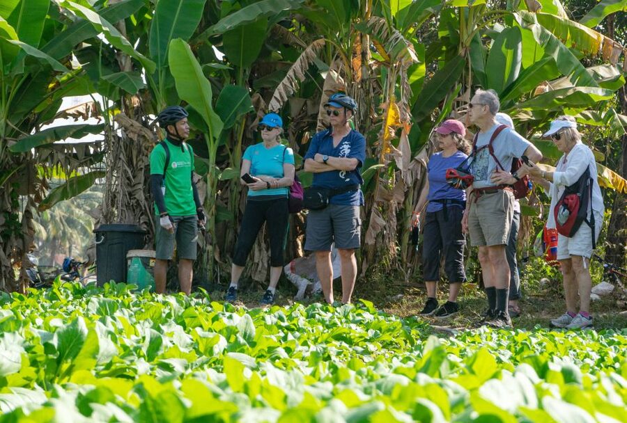 Siem Reap: Guided Countryside Bike Tour - Rice wine, temples, and local customs