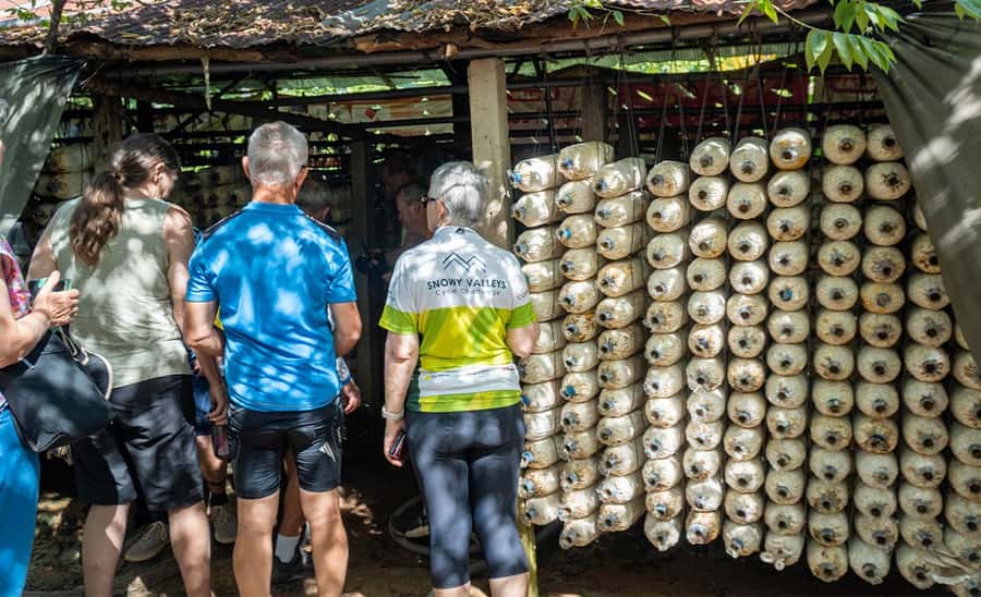 Siem Reap: Guided Countryside Bike Tour - Bikes, comfort, and the actual effort