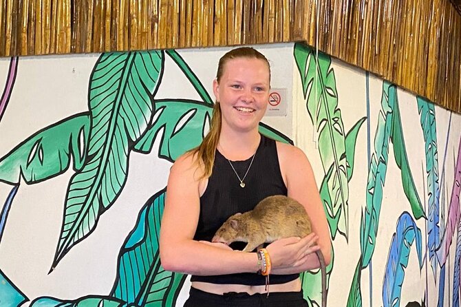 Siem Reap Guided Tour & Hero RATs at APOPO Visitor Center - Key points at a glance