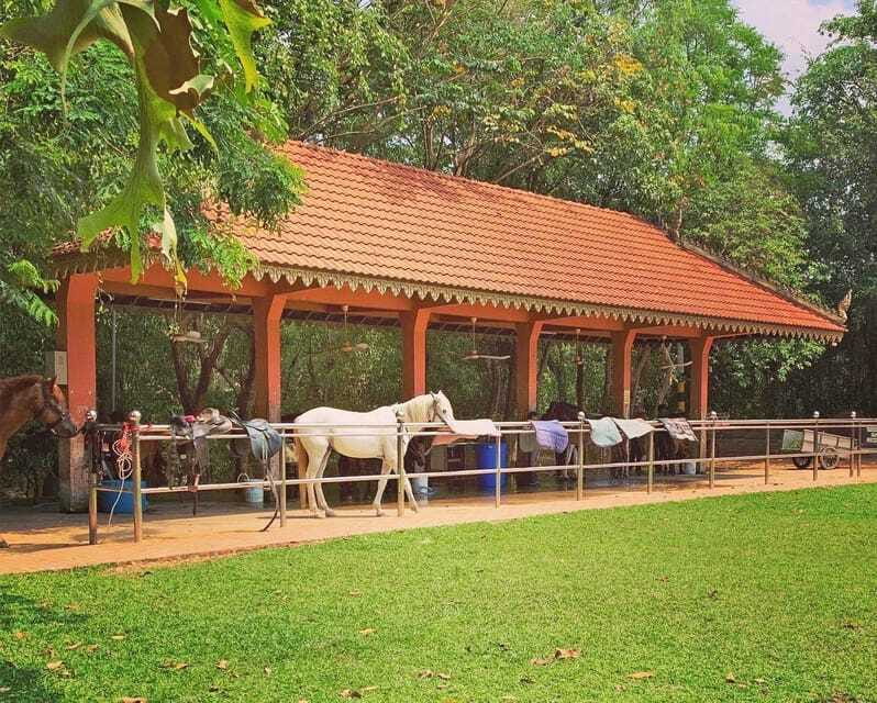 Siem Reap Happy Horse Riding Free Pick-up & Drop-off - Who will enjoy this ride most?