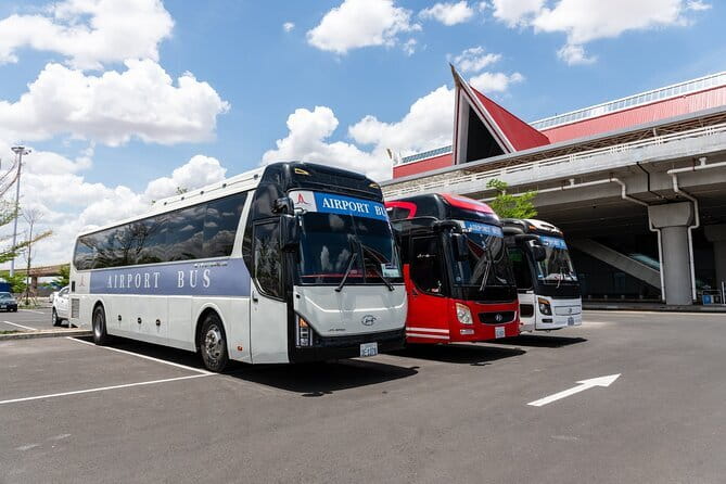 Siem Reap International Airport Shared Shuttle Bus Transfer - Leaving the Airport: Check In Before You Board