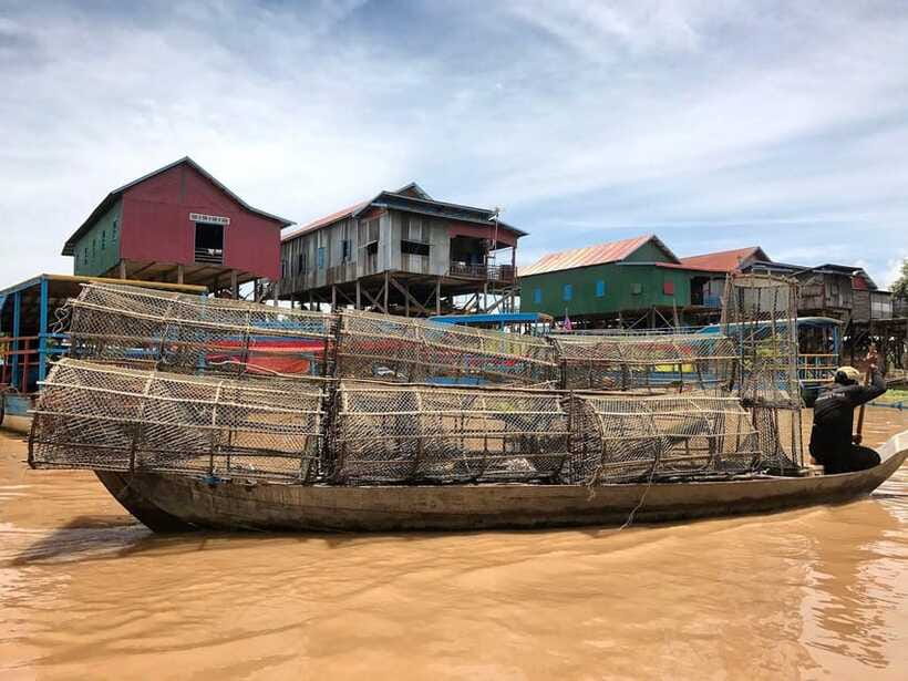 Siem Reap: Kompong Phluk Floating Village with Transfers - The mangrove forest question