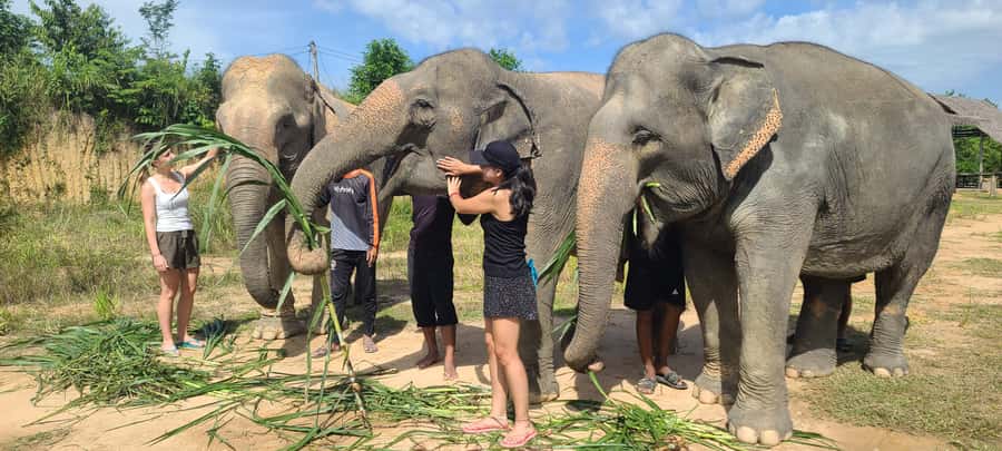 Siem Reap: Kulen Elephant Forest Guided Tour - Why the elephant setting matters