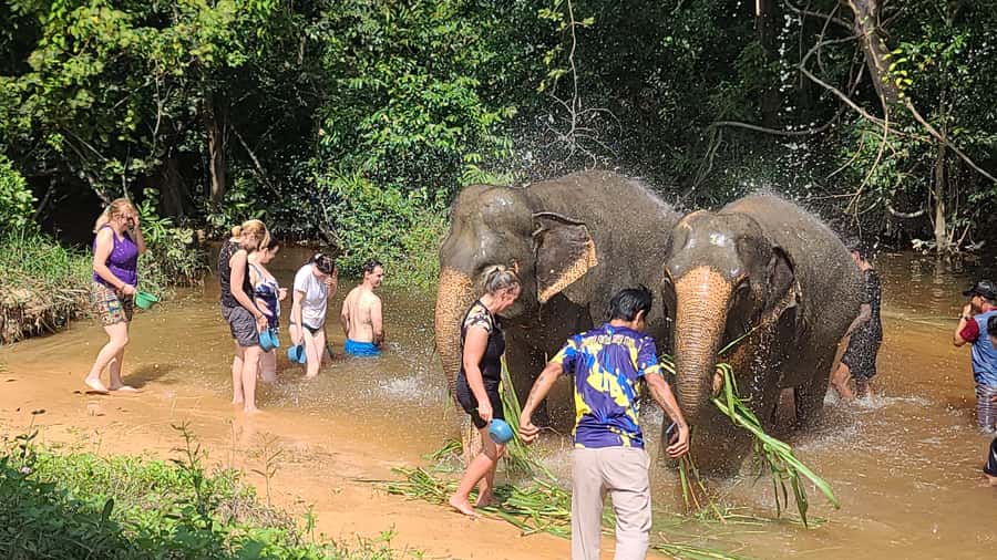 Siem Reap: Kulen Elephant Forest Guided Tour - Lunch at base camp