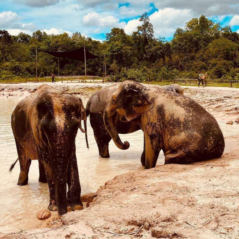 Siem Reap: Kulen Elephant Forest & Tonlesap Lake - Key points to know before booking