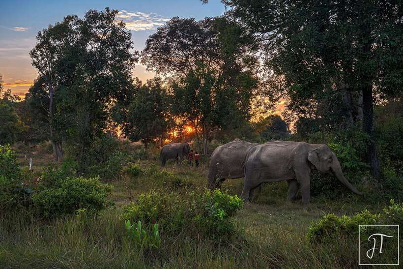 Siem Reap: Kulen Elephant Forest & Tonlesap Lake - What to pack for the forest and lake