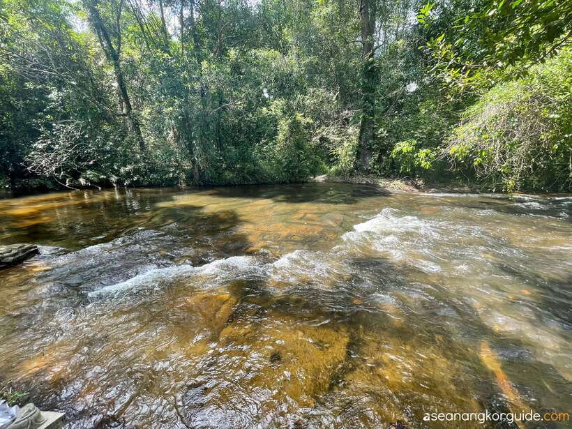 Siem Reap: Kulen Mountain Small Group Tour with Picnic Lunch - The waterfall picnic, swimming, and local food