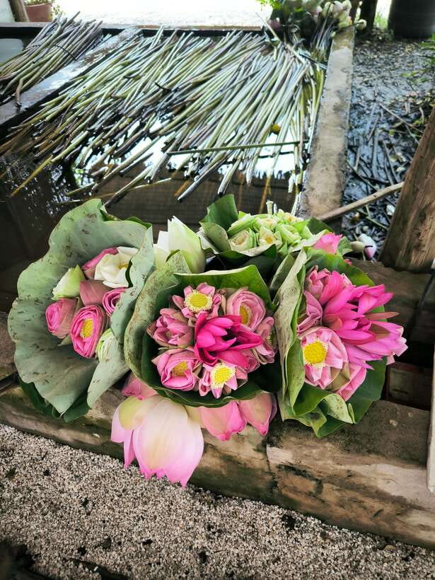 Siem Reap Lotus Silk Farm Discovery tour & Lake experience - Making the most of your departure time