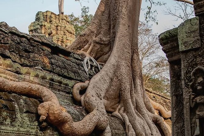 Siem Reap Private Full Day Angkor Wat Tour with Sunset or Sunrise - Starting at Angkor Thom South Gate